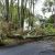 Edgewater Storm Damage Cleanup by Evening Shade Tree Surgeons LLC